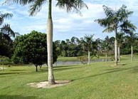 Desaru Golf & Country Resort